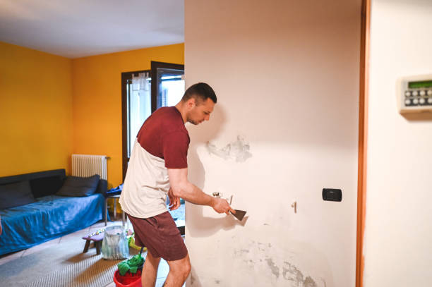 Best Bathroom Mold Remediation in Mountain View, CA